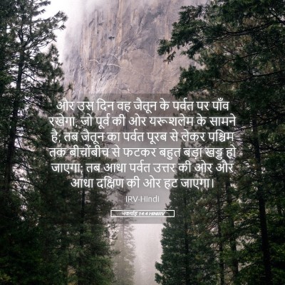 Picture 05 - जकर्याह 14:4 HINIRV - और उस दिन वह जैतून - Bible Verse Picture