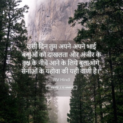 Picture 05 - जकर्याह 3:10 HINIRV - उसी दिन तुम - Bible Verse Picture