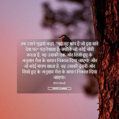 Picture 05 - जकर्याह 5:3 HINIRV - तब उसने मुझसे कहा, - Bible Verse Picture