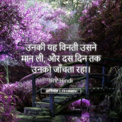 Picture 05 - दानिय्येल 1:14 HINIRV - उनकी यह विनती उसने - Bible Verse Picture