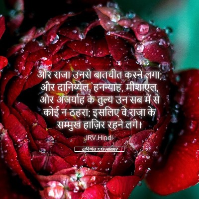 Picture 05 - दानिय्येल 1:19 HINIRV - और राजा उनसे - Bible Verse Picture