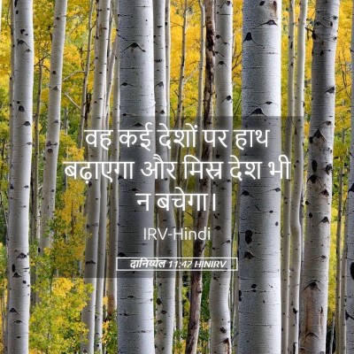 Picture 05 - दानिय्येल 11:42 HINIRV - वह कई देशों पर हाथ - Bible Verse Picture