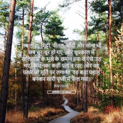 Picture 05 - दानिय्येल 2:35 HINIRV - तब लोहा, मिट्टी, - Bible Verse Picture