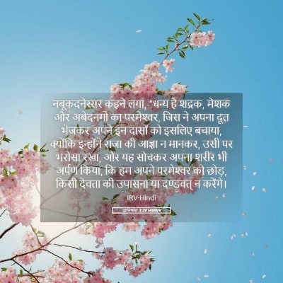 Picture 05 - दानिय्येल 3:28 HINIRV - नबूकदनेस्सर कहने - Bible Verse Picture