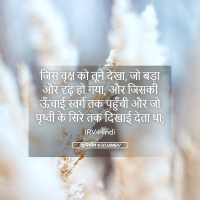 Picture 05 - दानिय्येल 4:20 HINIRV - जिस वृक्ष को तूने - Bible Verse Picture