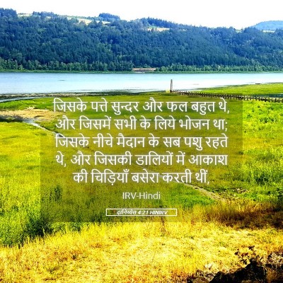 Picture 05 - दानिय्येल 4:21 HINIRV - जिसके पत्ते - Bible Verse Picture