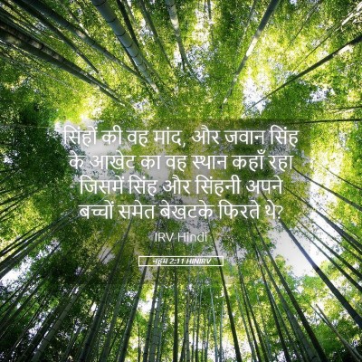 Picture 05 - नहूम 2:11 HINIRV - सिंहों की वह मांद, - Bible Verse Picture