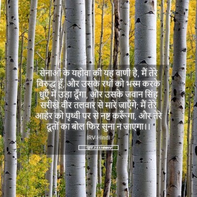 Picture 05 - नहूम 2:13 HINIRV - सेनाओं के यहोवा की - Bible Verse Picture