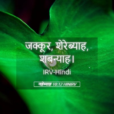 Picture 05 - नहेम्याह 10:12 HINIRV - जक्कूर, शेरेब्याह, - Bible Verse Picture