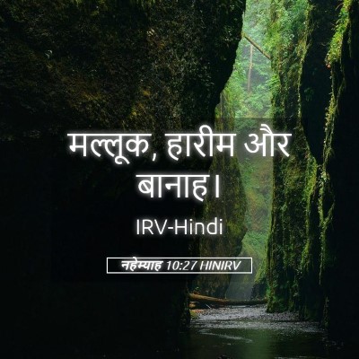 Picture 05 - नहेम्याह 10:27 HINIRV - मल्लूक, हारीम और - Bible Verse Picture