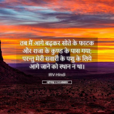 Picture 05 - नहेम्याह 2:14 HINIRV - तब मैं आगे बढ़कर - Bible Verse Picture