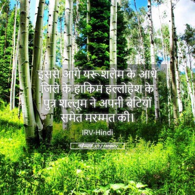 Picture 05 - नहेम्याह 3:12 HINIRV - इससे आगे यरूशलेम - Bible Verse Picture