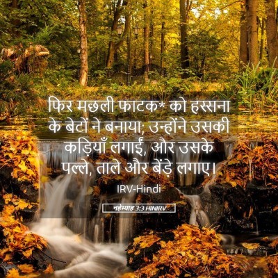 Picture 05 - नहेम्याह 3:3 HINIRV - फिर मछली फाटक* को - Bible Verse Picture