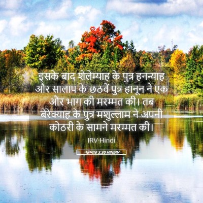 Picture 05 - नहेम्याह 3:30 HINIRV - इसके बाद - Bible Verse Picture