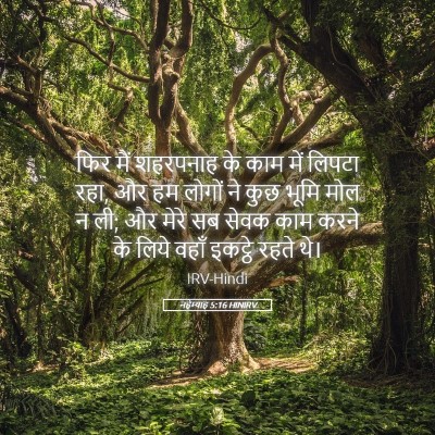 Picture 05 - नहेम्याह 5:16 HINIRV - फिर मैं शहरपनाह के - Bible Verse Picture