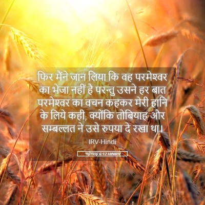 Picture 05 - नहेम्याह 6:12 HINIRV - फिर मैंने जान लिया - Bible Verse Picture