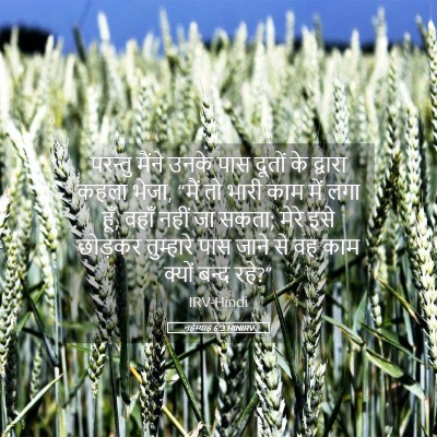 Picture 05 - नहेम्याह 6:3 HINIRV - परन्तु मैंने उनके - Bible Verse Picture