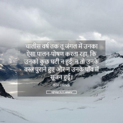 Picture 05 - नहेम्याह 9:21 HINIRV - चालीस वर्ष तक तू - Bible Verse Picture