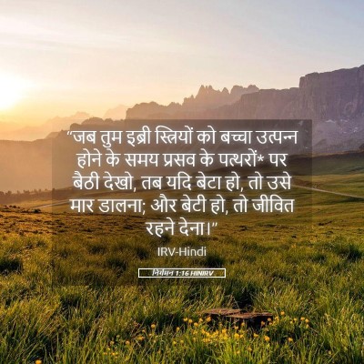 Picture 05 - निर्गमन 1:16 HINIRV - “जब तुम इब्री - Bible Verse Picture