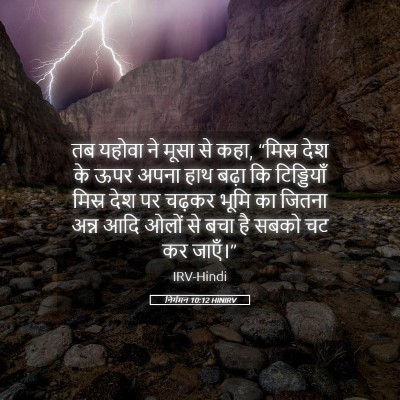 Picture 05 - निर्गमन 10:12 HINIRV - तब यहोवा ने मूसा से - Bible Verse Picture