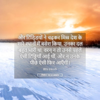 Picture 05 - निर्गमन 10:14 HINIRV - और टिडि्डयों ने - Bible Verse Picture