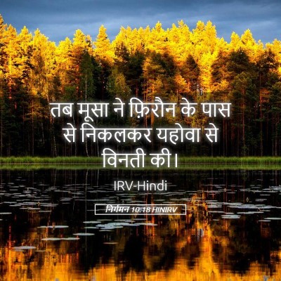 Picture 05 - निर्गमन 10:18 HINIRV - तब मूसा ने फ़िरौन - Bible Verse Picture