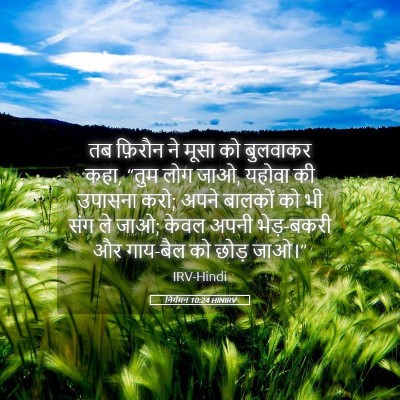 Picture 05 - निर्गमन 10:24 HINIRV - तब फ़िरौन ने मूसा - Bible Verse Picture