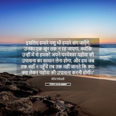 Picture 05 - निर्गमन 10:26 HINIRV - इसलिए हमारे पशु भी - Bible Verse Picture