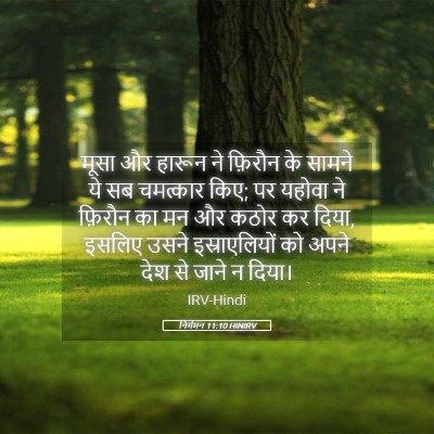 Picture 05 - निर्गमन 11:10 HINIRV - मूसा और हारून ने - Bible Verse Picture