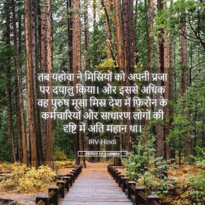 Picture 05 - निर्गमन 11:3 HINIRV - तब यहोवा ने - Bible Verse Picture