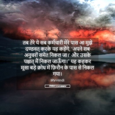 Picture 05 - निर्गमन 11:8 HINIRV - तब तेरे ये सब - Bible Verse Picture