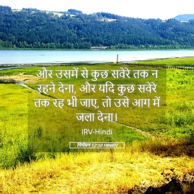 Picture 05 - निर्गमन 12:10 HINIRV - और उसमें से कुछ - Bible Verse Picture