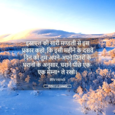 Picture 05 - निर्गमन 12:3 HINIRV - इस्राएल की सारी - Bible Verse Picture
