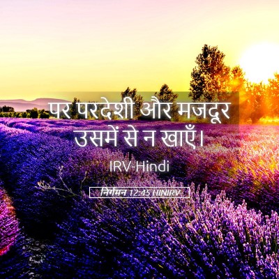 Picture 05 - निर्गमन 12:45 HINIRV - पर परदेशी और मजदूर - Bible Verse Picture
