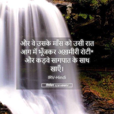 Picture 05 - निर्गमन 12:8 HINIRV - और वे उसके माँस को - Bible Verse Picture