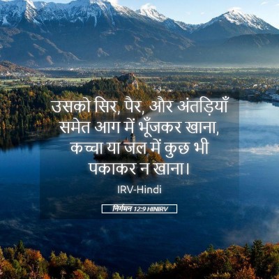 Picture 05 - निर्गमन 12:9 HINIRV - उसको सिर, पैर, और - Bible Verse Picture