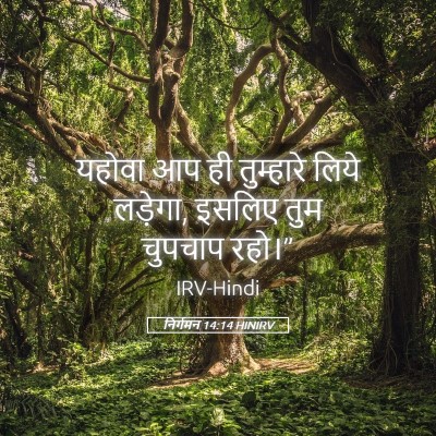Picture 05 - निर्गमन 14:14 HINIRV - यहोवा आप ही - Bible Verse Picture