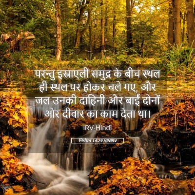 Picture 05 - निर्गमन 14:29 HINIRV - परन्तु इस्राएली - Bible Verse Picture