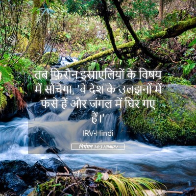 Picture 05 - निर्गमन 14:3 HINIRV - तब फ़िरौन - Bible Verse Picture
