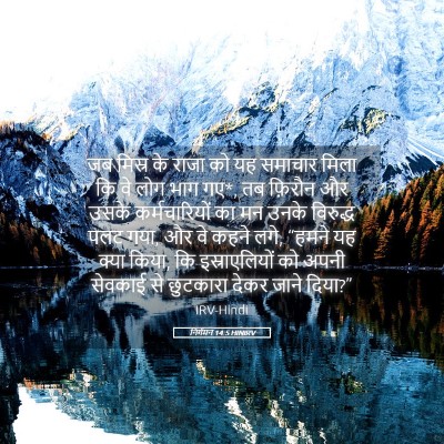 Picture 05 - निर्गमन 14:5 HINIRV - जब मिस्र के राजा को - Bible Verse Picture