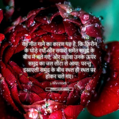 Picture 05 - निर्गमन 15:19 HINIRV - यह गीत गाने का कारण - Bible Verse Picture
