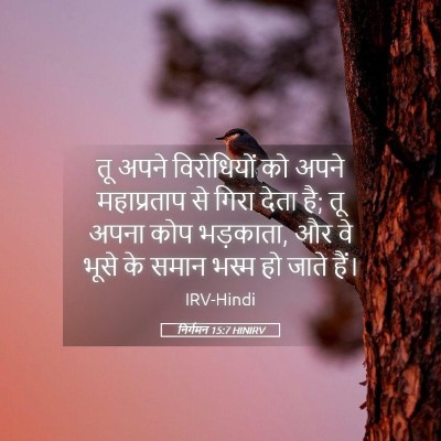 Picture 05 - निर्गमन 15:7 HINIRV - तू अपने विरोधियों - Bible Verse Picture