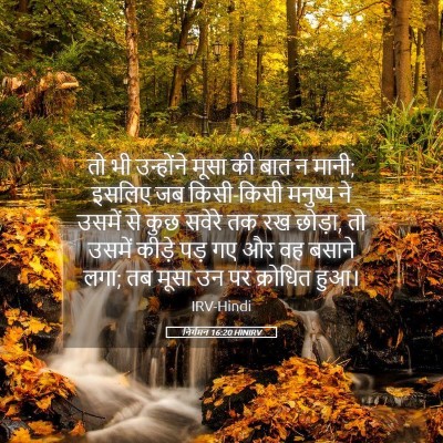 Picture 05 - निर्गमन 16:20 HINIRV - तो भी उन्होंने - Bible Verse Picture
