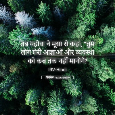 Picture 05 - निर्गमन 16:28 HINIRV - तब यहोवा ने मूसा से - Bible Verse Picture