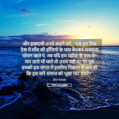Picture 05 - निर्गमन 16:3 HINIRV - और इस्राएली उनसे - Bible Verse Picture