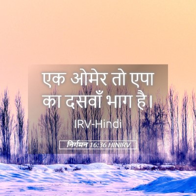 Picture 05 - निर्गमन 16:36 HINIRV - एक ओमेर तो एपा का - Bible Verse Picture