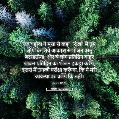 Picture 05 - निर्गमन 16:4 HINIRV - तब यहोवा ने मूसा से - Bible Verse Picture