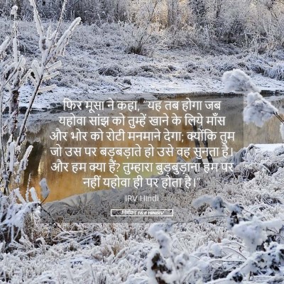Picture 05 - निर्गमन 16:8 HINIRV - फिर मूसा ने कहा, - Bible Verse Picture