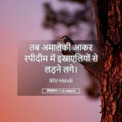 Picture 05 - निर्गमन 17:8 HINIRV - तब अमालेकी आकर - Bible Verse Picture