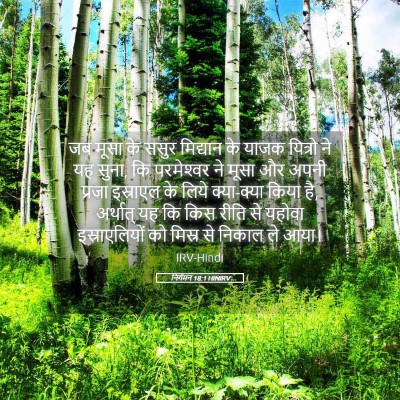 Picture 05 - निर्गमन 18:1 HINIRV - जब मूसा के ससुर - Bible Verse Picture